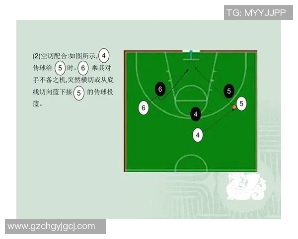 深入分析上海篮球队独特的防守策略与战术执行技巧