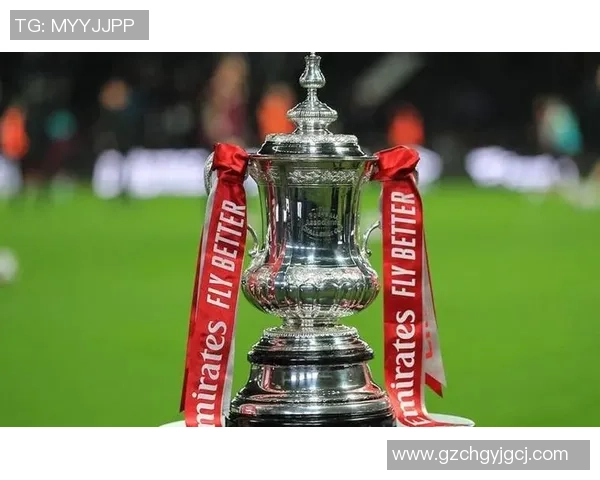 法国足球明星贝尔的传奇生涯与对足球的深刻影响解析